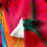 Kids Butterfly Flannel Fleece Throw Blanket Butterflies Print Fuzzy Blanket Girl Butterfly Floral All Season Bed Blanket