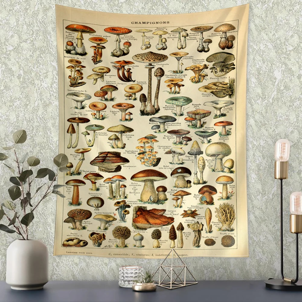 48030968873120|48030968905888|48030968938656|48030968971424|48030969036960|48030969069728|48030969102496|48030969135264|48030969168032